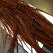 画像3: 【WHITING】High & Dry ROOSTER SADDLE - DYED COACHMAN BROWN No.2 #16 (3)