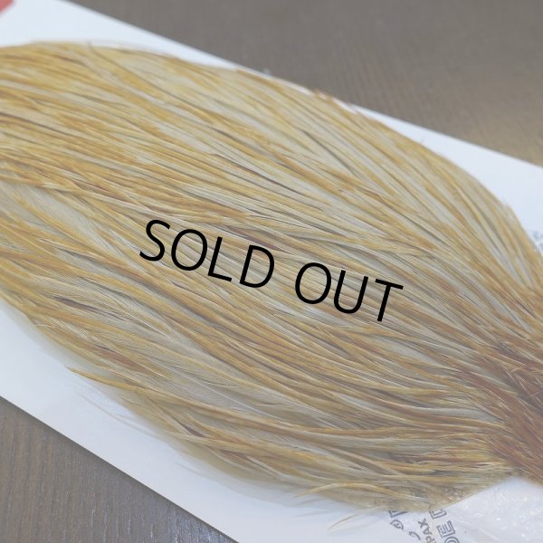 画像4: 【Whiting】ROOSTER CAPE Bronze Grade - HONEY DUN No.2 (4)