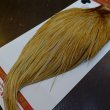 画像5: 【Whiting】ROOSTER CAPE Bronze Grade - HONEY DUN No.1 (5)