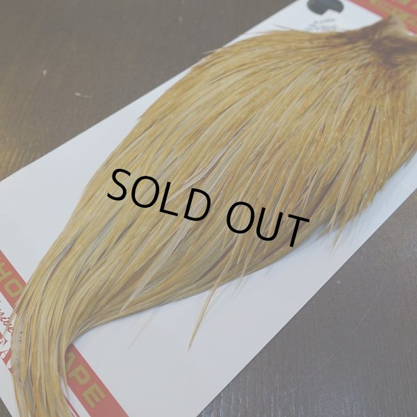 画像5: 【Whiting】ROOSTER CAPE Bronze Grade - HONEY DUN No.1 (5)