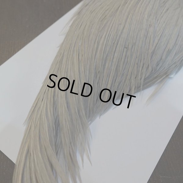 画像5: 【WHITING】High & Dry ROOSTER Cape - DYED LIGHT DUN No.1 (5)