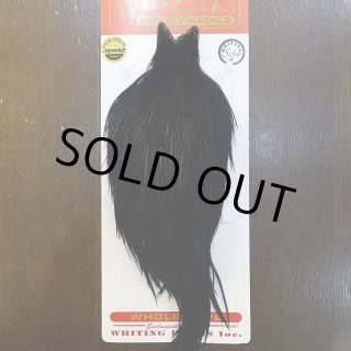 Whiting Hackle | ホワイティングハックル 全商品一覧 (Page 1)