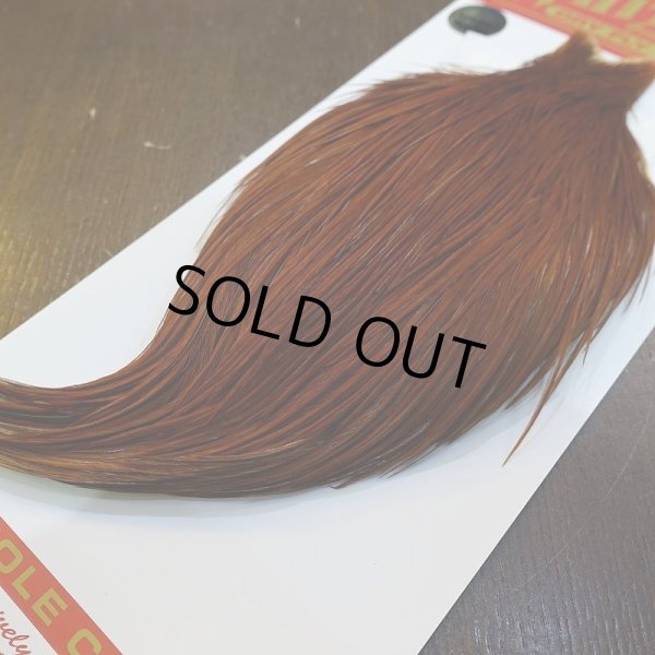 画像5: 【WHITING】ROOSTER Cape Pro Grade - NA BROWN No.1 (5)