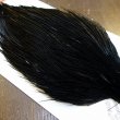 画像4: 【Whiting】ROOSTER CAPE Bronze Grade - DYED BLACK No.4 (4)