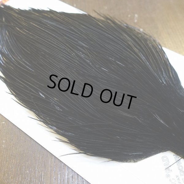 画像4: 【Whiting】ROOSTER CAPE Bronze Grade - DYED BLACK No.4 (4)