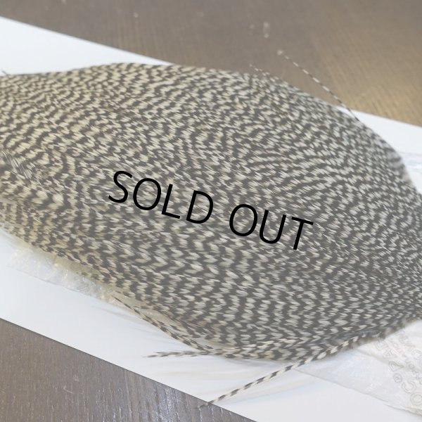 画像4: 【WHITING】High & Dry ROOSTER Cape - Grizzly No.1 (4)