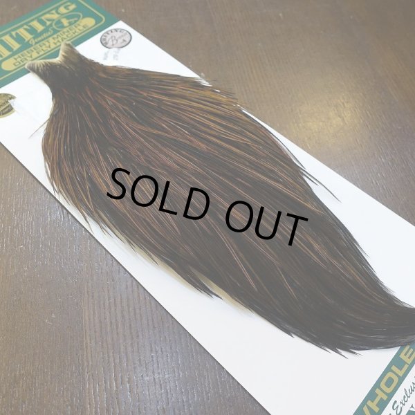 画像2: 【WHITING】Hebert ROOSTER CAPE Bronze grade - Furnace No.2 (2)