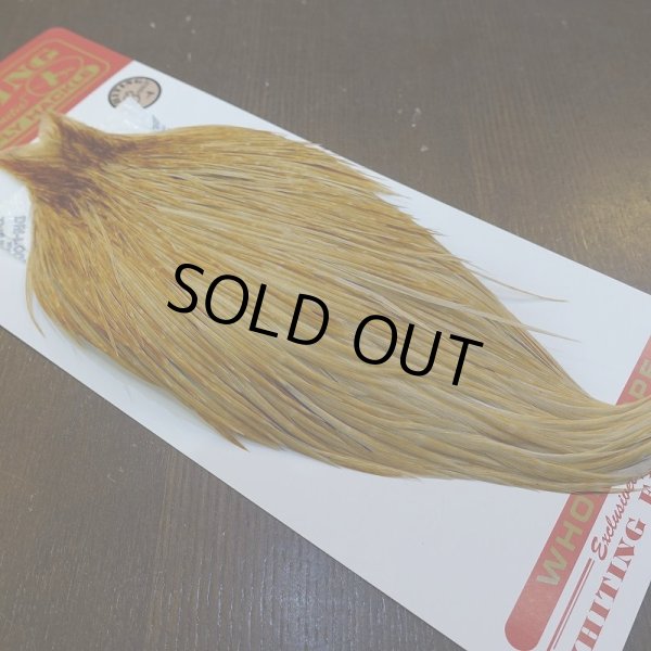 画像2: 【Whiting】ROOSTER CAPE Bronze Grade - HONEY DUN No.1 (2)