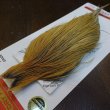 画像3: 【Whiting】ROOSTER CAPE Pro Grade - HONEY DUN No.1 (3)