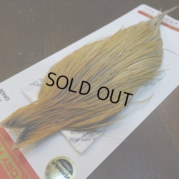 画像3: 【Whiting】ROOSTER CAPE Pro Grade - HONEY DUN No.1 (3)