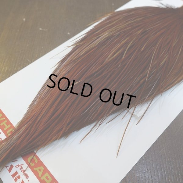 画像5: 【Whiting】ROOSTER CAPE Bronze Grade - NA BROWN No.2 (5)