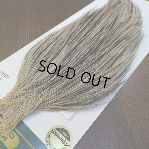 画像3: 【WHITING】Hebert ROOSTER CAPE PRO Grade - Unique variant No.2 (3)