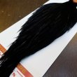 画像5: 【Whiting】ROOSTER CAPE Bronze Grade - DYED BLACK No.5 (5)