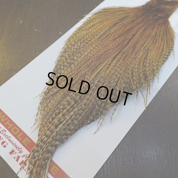 画像5: 【Whiting】ROOSTER CAPE Pro Grade - BARRED DK GINGER No.2 (5)