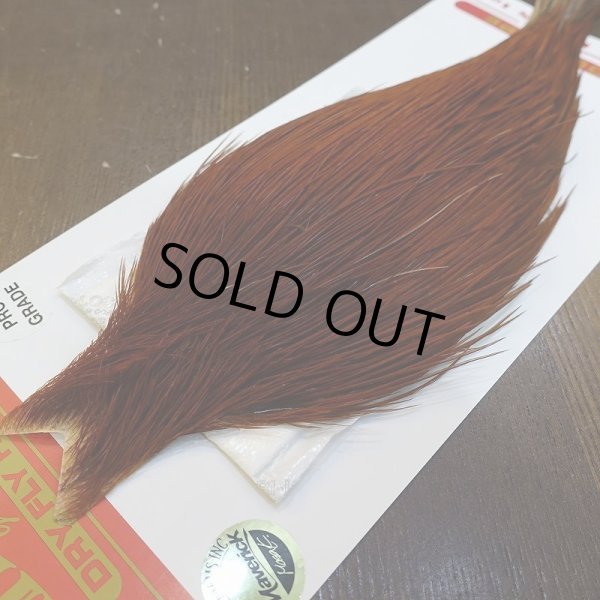 画像3: 【WHITING】ROOSTER Cape Pro Grade - NA BROWN No.2 (3)