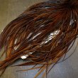 画像6: 【WHITING】High & Dry ROOSTER SADDLE - DYED COACHMAN BROWN No.1 #16 (6)