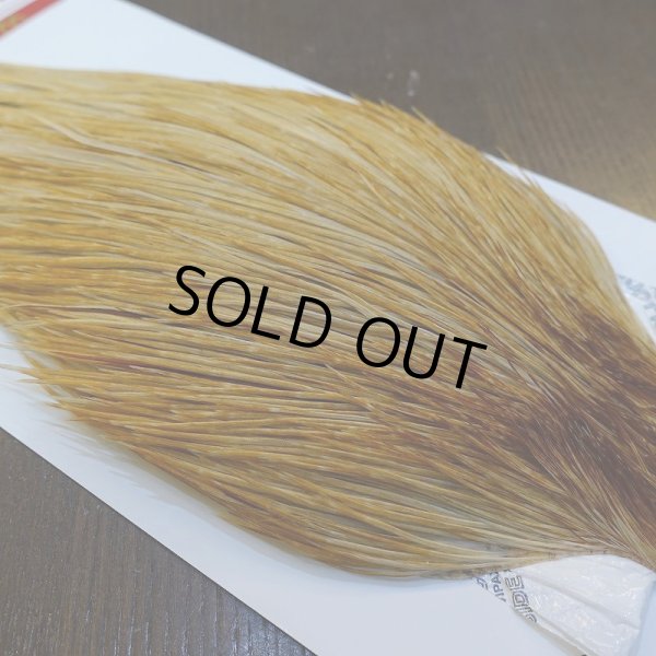 画像4: 【Whiting】ROOSTER CAPE Bronze Grade - HONEY DUN No.1 (4)