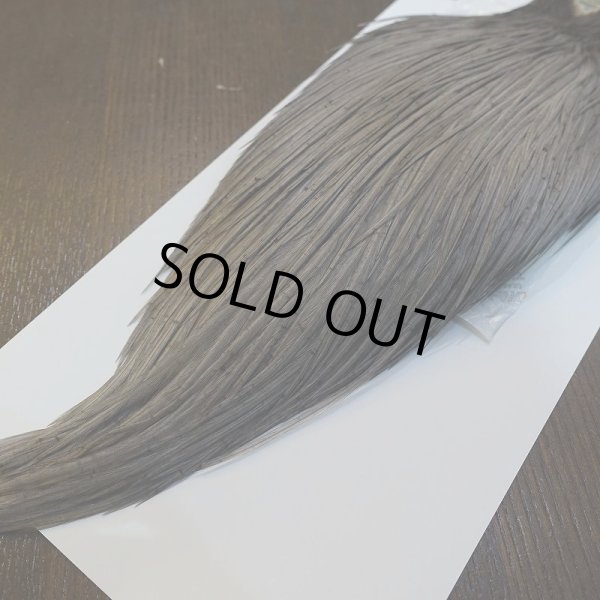 画像5: 【WHITING】High & Dry ROOSTER Cape - DYED MEDIUM DUN No.1 (5)