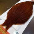 画像3: 【WHITING】ROOSTER Cape Pro Grade - NA BROWN No.1 (3)