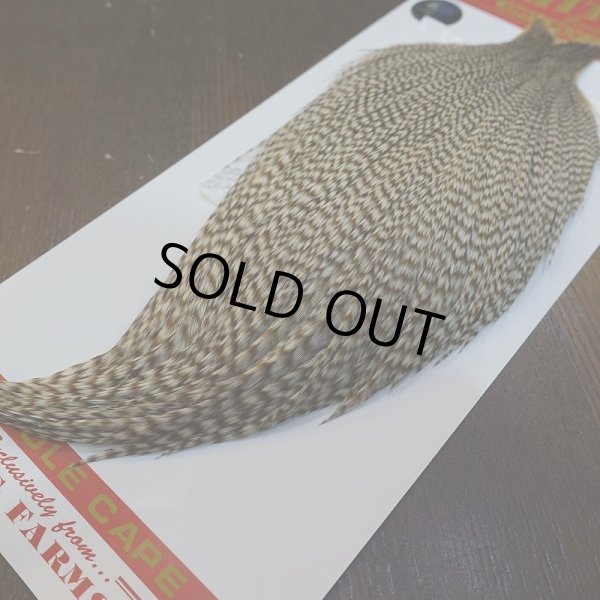 画像5: 【Whiting】ROOSTER CAPE Pro Grade - DUN Grizzly No.1 (5)