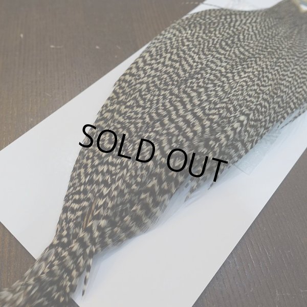 画像5: 【WHITING】High & Dry ROOSTER Cape - Grizzly No.1 (5)