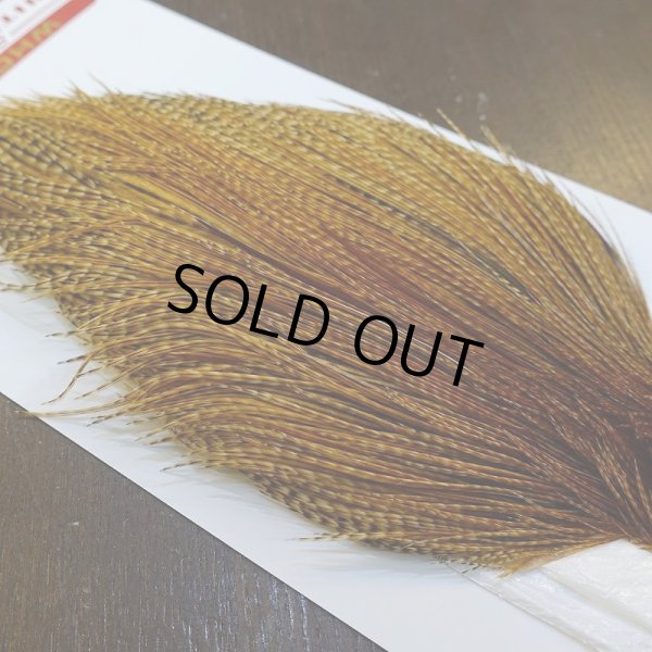 画像4: 【Whiting】ROOSTER CAPE Pro Grade - BARRED DK GINGER No.2 (4)