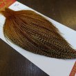 画像2: 【Whiting】ROOSTER CAPE Pro Grade - BARRED DK GINGER No.1 (2)