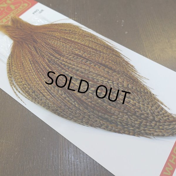 画像2: 【Whiting】ROOSTER CAPE Pro Grade - BARRED DK GINGER No.1 (2)