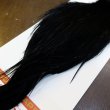 画像5: 【Whiting】ROOSTER CAPE Bronze Grade - DYED BLACK No.4 (5)