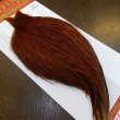 画像2: 【WHITING】ROOSTER Cape Pro Grade - NA BROWN No.1 (2)