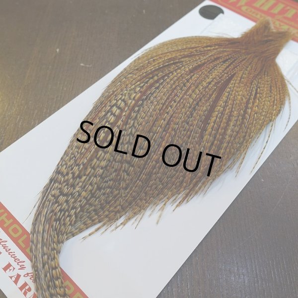 画像5: 【Whiting】ROOSTER CAPE Pro Grade - BARRED DK GINGER No.1 (5)