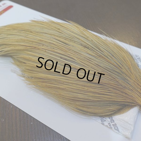 画像4: 【Whiting】ROOSTER CAPE Pro Grade - HONEY DUN No.1 (4)