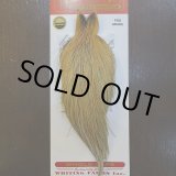 ドリーバーデン|通販|オンラインショップ|SIMMS 正規販売店