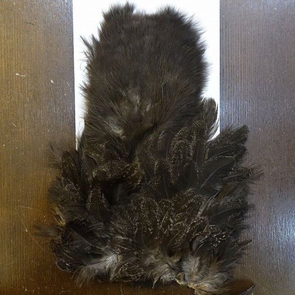 画像3: 【WHITING】Coq de Leon hen S/H Chickabou (3)