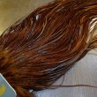 画像4: 【WHITING】High & Dry ROOSTER SADDLE - DYED COACHMAN BROWN No.2 #16 (4)