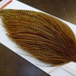 画像4: 【Whiting】ROOSTER CAPE Pro Grade - BARRED DK GINGER No.1 (4)