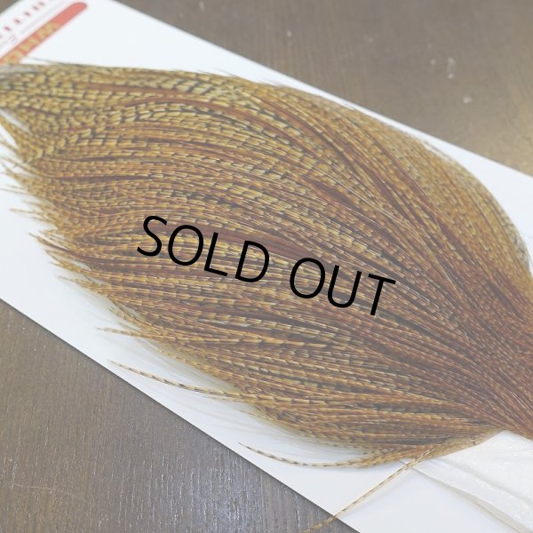 画像4: 【Whiting】ROOSTER CAPE Pro Grade - BARRED DK GINGER No.1 (4)