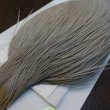 画像3: 【WHITING】High & Dry ROOSTER Cape - DYED LIGHT DUN No.1 (3)