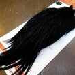 画像5: 【Whiting】ROOSTER CAPE Silver Grade - DYED BLACK No.2 (5)