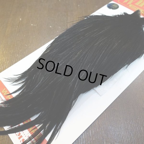 画像5: 【Whiting】ROOSTER CAPE Silver Grade - DYED BLACK No.2 (5)