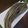 画像5: 【WHITING】Hebert ROOSTER CAPE PRO Grade - Unique variant No.2 (5)