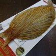 画像3: 【Whiting】ROOSTER CAPE Bronze Grade - HONEY DUN No.2 (3)