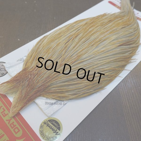 画像3: 【Whiting】ROOSTER CAPE Bronze Grade - HONEY DUN No.2 (3)