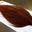 画像4: 【Whiting】ROOSTER CAPE Bronze Grade - NA BROWN No.2 (4)