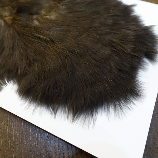 画像5: 【WHITING】Coq de Leon hen S/H Chickabou (5)