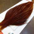 画像3: 【Whiting】ROOSTER CAPE Bronze Grade - NA BROWN No.2 (3)