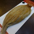 画像5: 【Whiting】ROOSTER CAPE Bronze Grade - HONEY DUN No.2 (5)