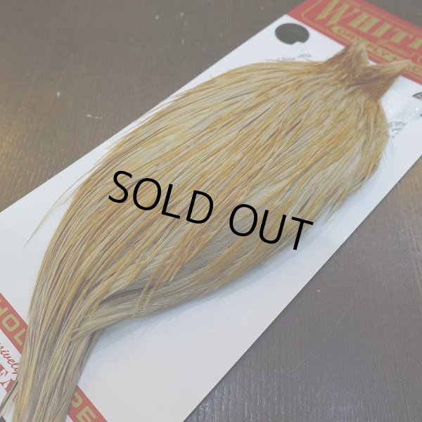 画像5: 【Whiting】ROOSTER CAPE Bronze Grade - HONEY DUN No.2 (5)