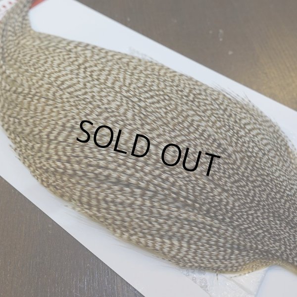 画像4: 【Whiting】ROOSTER CAPE Pro Grade - DUN Grizzly No.1 (4)