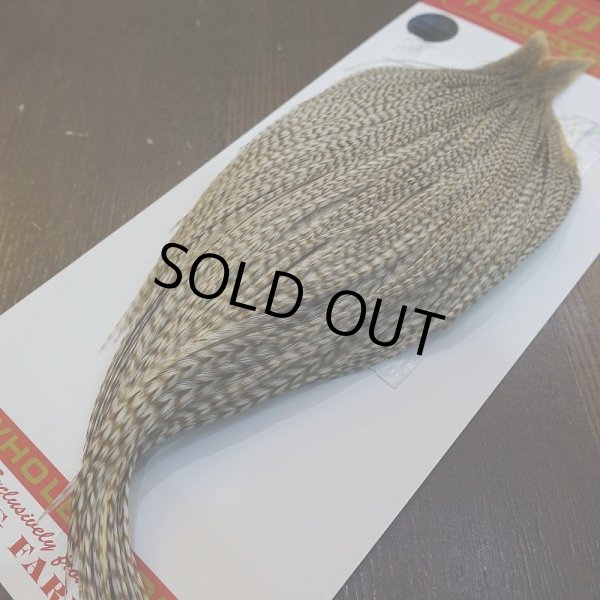 画像5: 【Whiting】ROOSTER CAPE Pro Grade - DUN Grizzly No.2 (5)